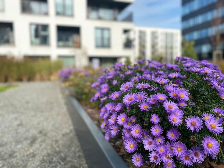 Art & Pleasure Waw Z Bezplatnym Parkingiem * Varšava